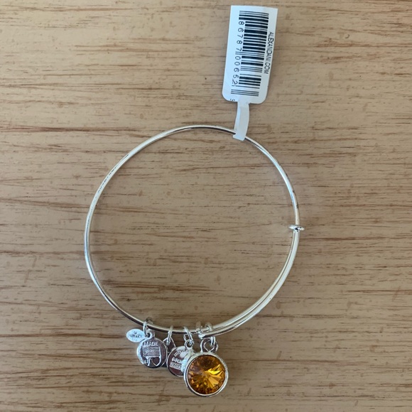 ALEX & ANI BRACELET - Picture 3 of 6